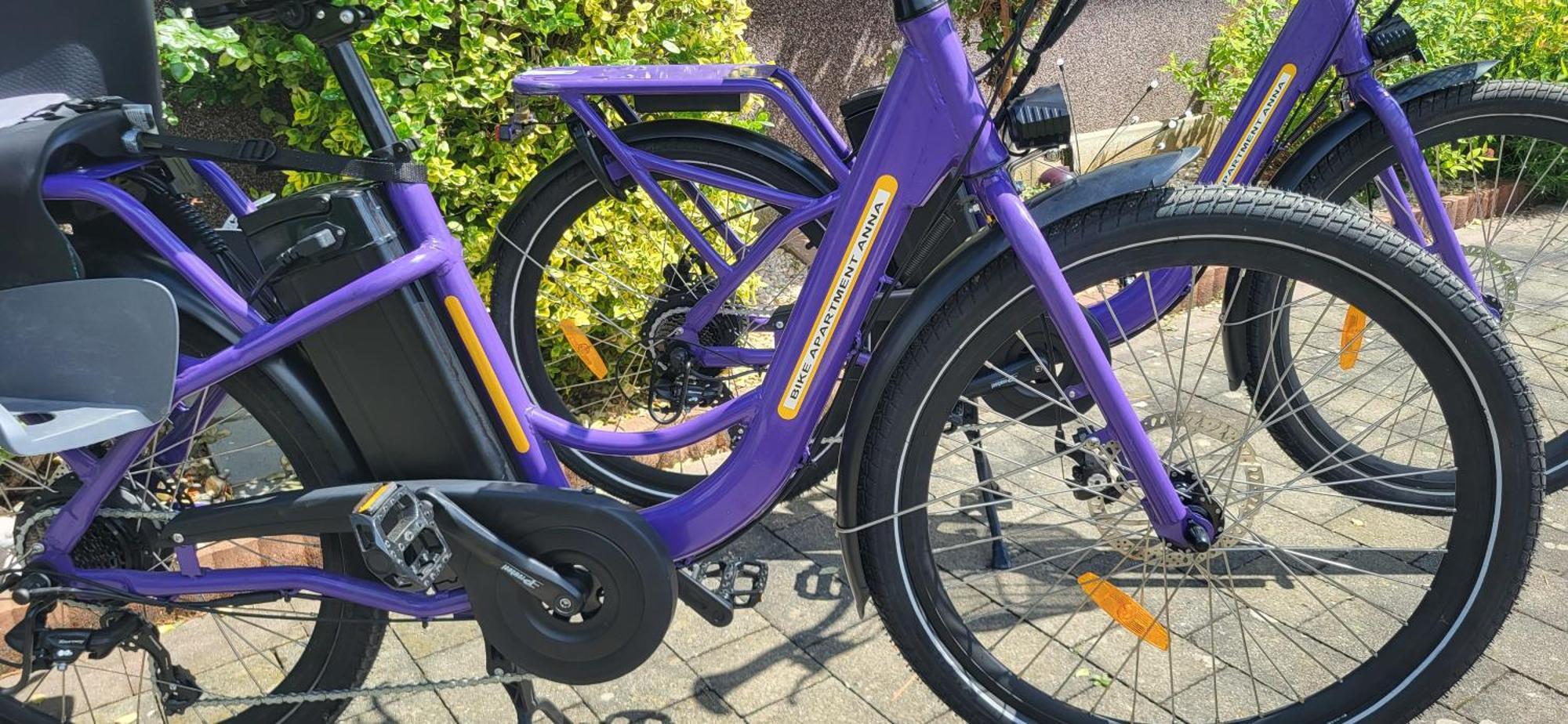 Zwei Schlafzimmer Ferienapartment Anna Am Stubenbergsee Inklusive Vier E-Bikes Exterior photo