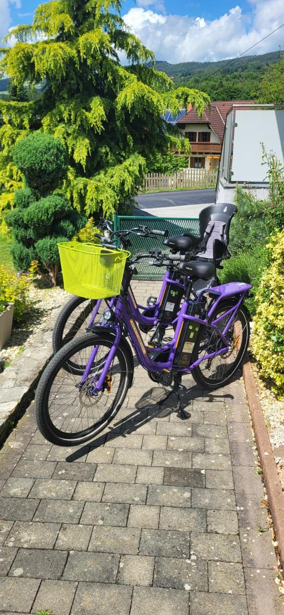 Zwei Schlafzimmer Ferienapartment Anna Am Stubenbergsee Inklusive Vier E-Bikes Exterior photo