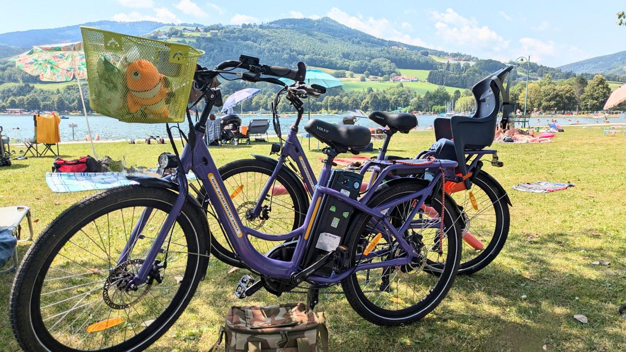Zwei Schlafzimmer Ferienapartment Anna Am Stubenbergsee Inklusive Vier E-Bikes Exterior photo